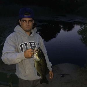 Meet your Posher, Austin